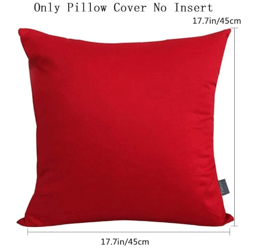 Decorative Pillow Cover