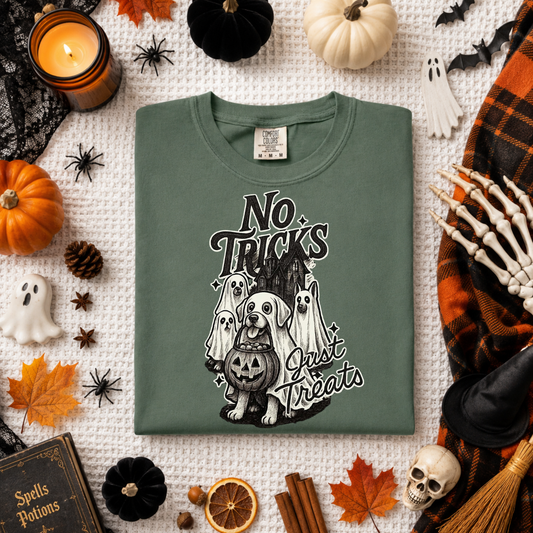 No Tricks Just Treats DTF Transfer