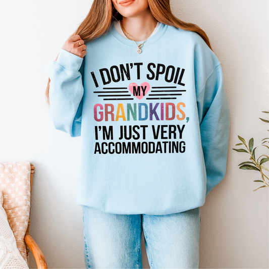 I Don't Spoil my Grandkids DTF Transfer