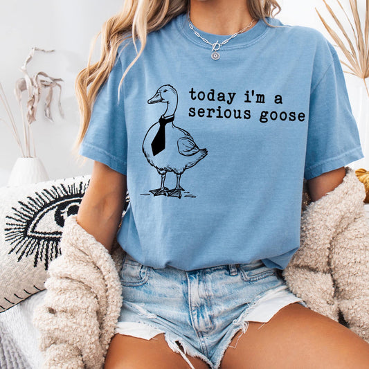 Today I'm a Serious Goose Screen Print