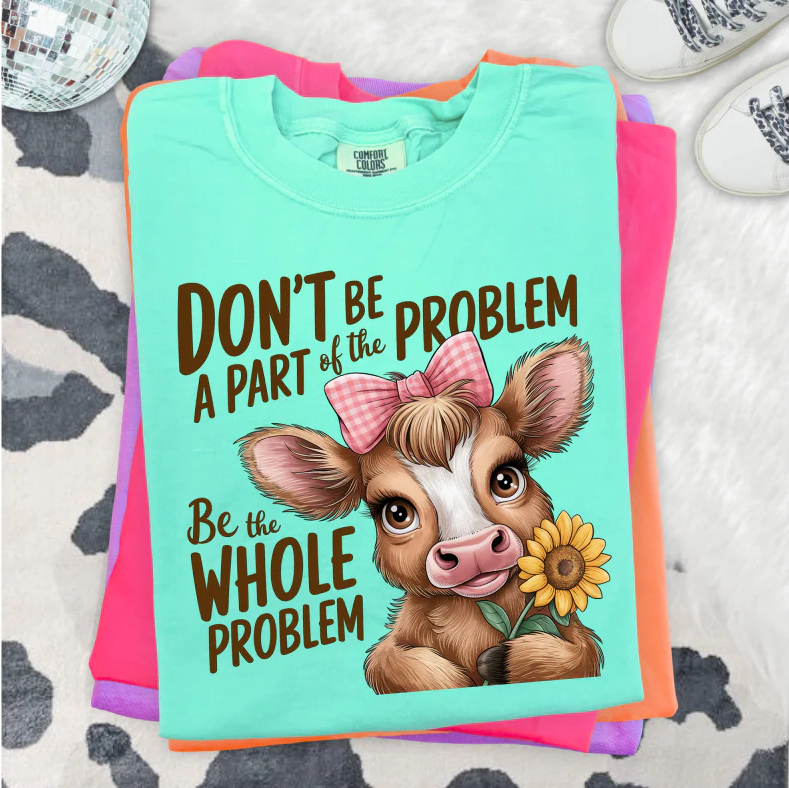 Be the Whole Problem Clear Film Screen Print