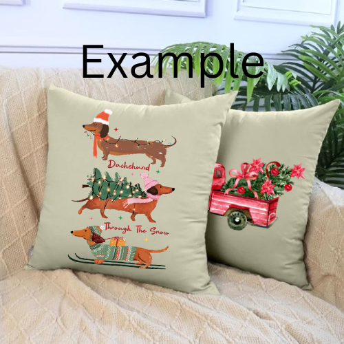 Decorative Pillow Cover